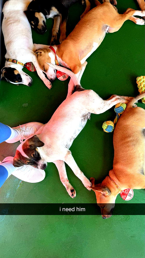 meelahrobbins image ~ Altpins