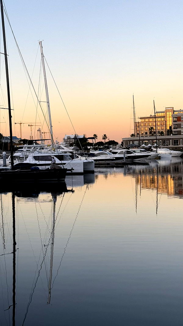 meelahrobbins image ~ Altpins