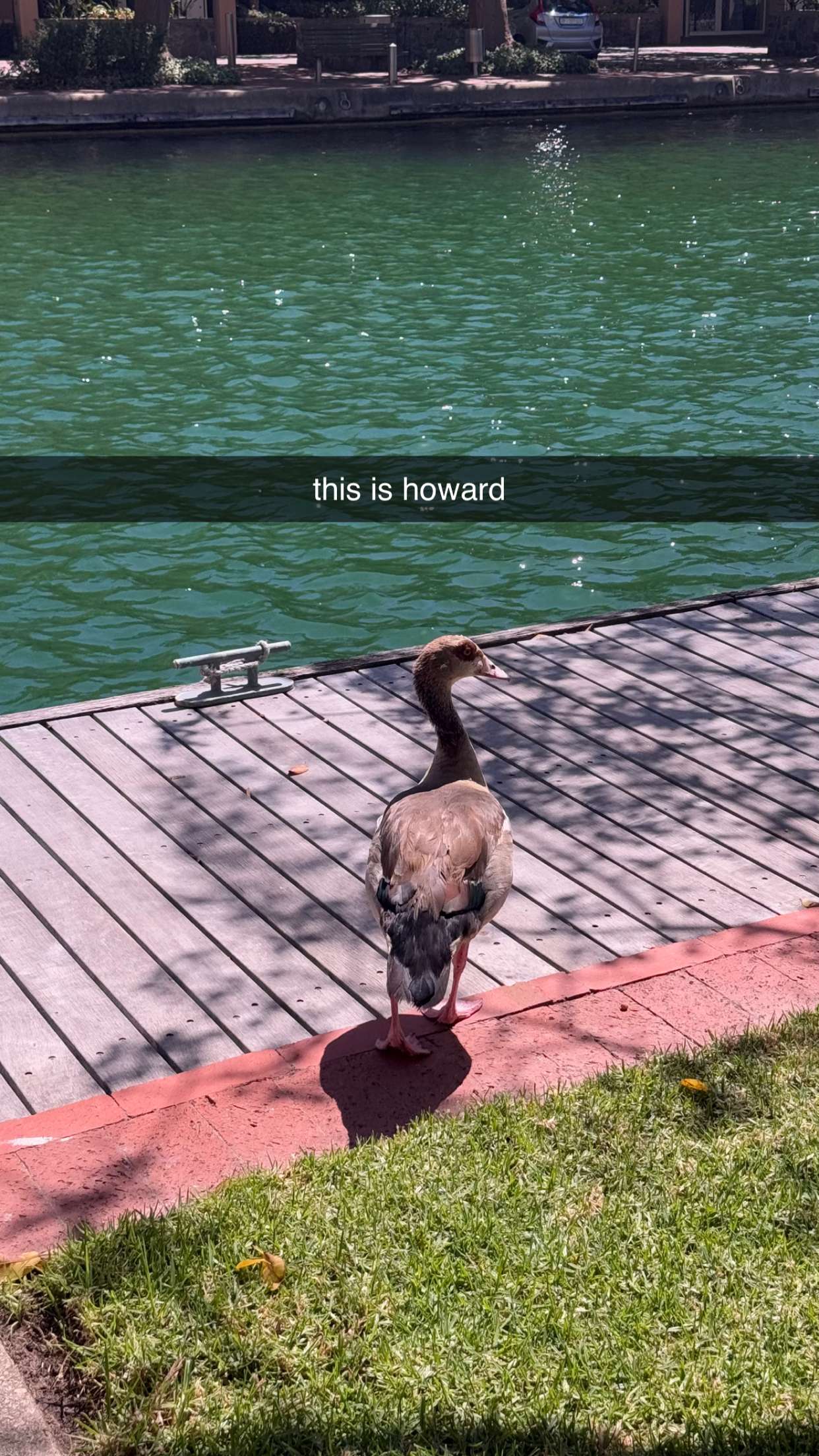 meelahrobbins snapchat image archive image