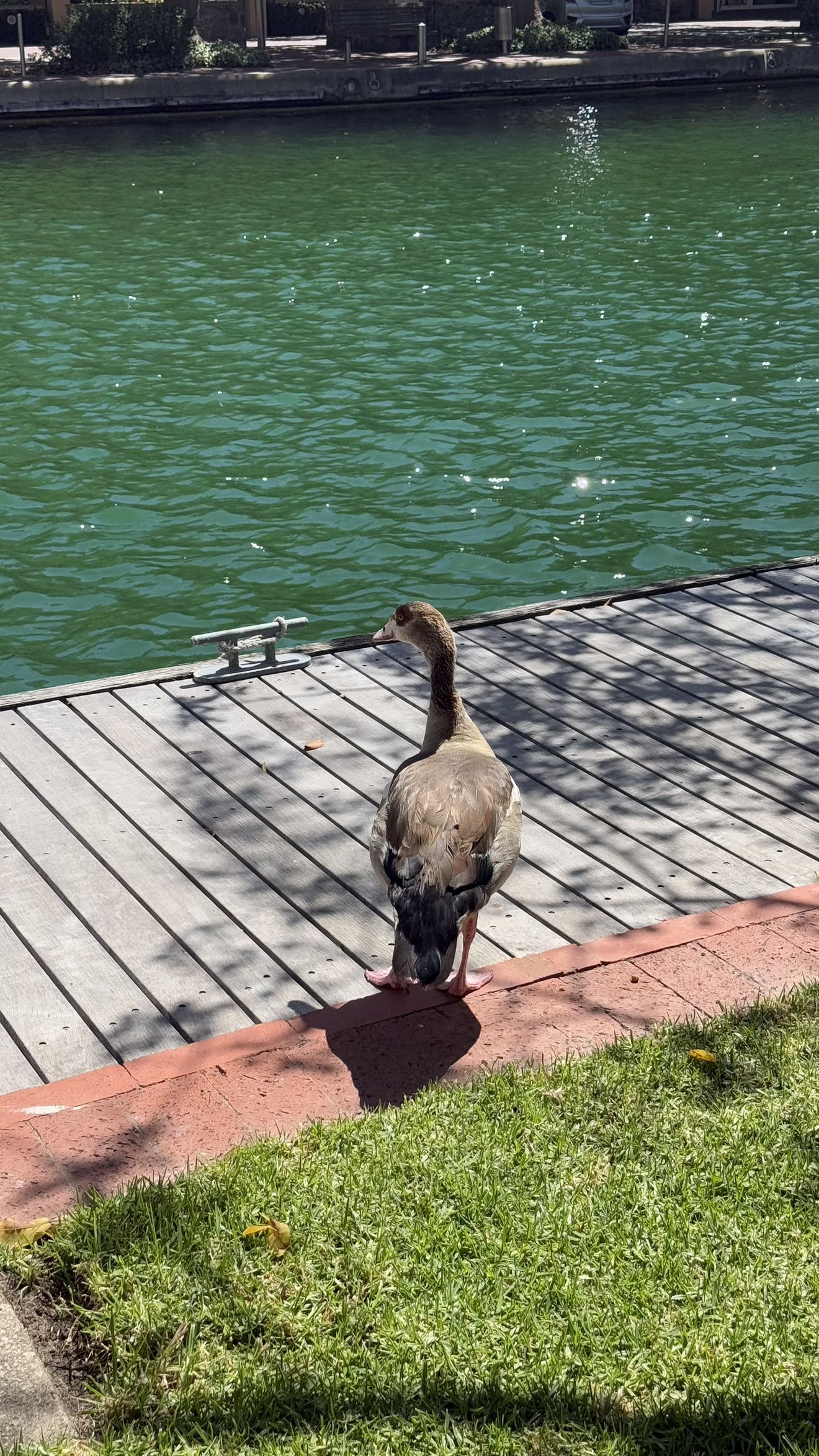 meelahrobbins snapchat image archive image