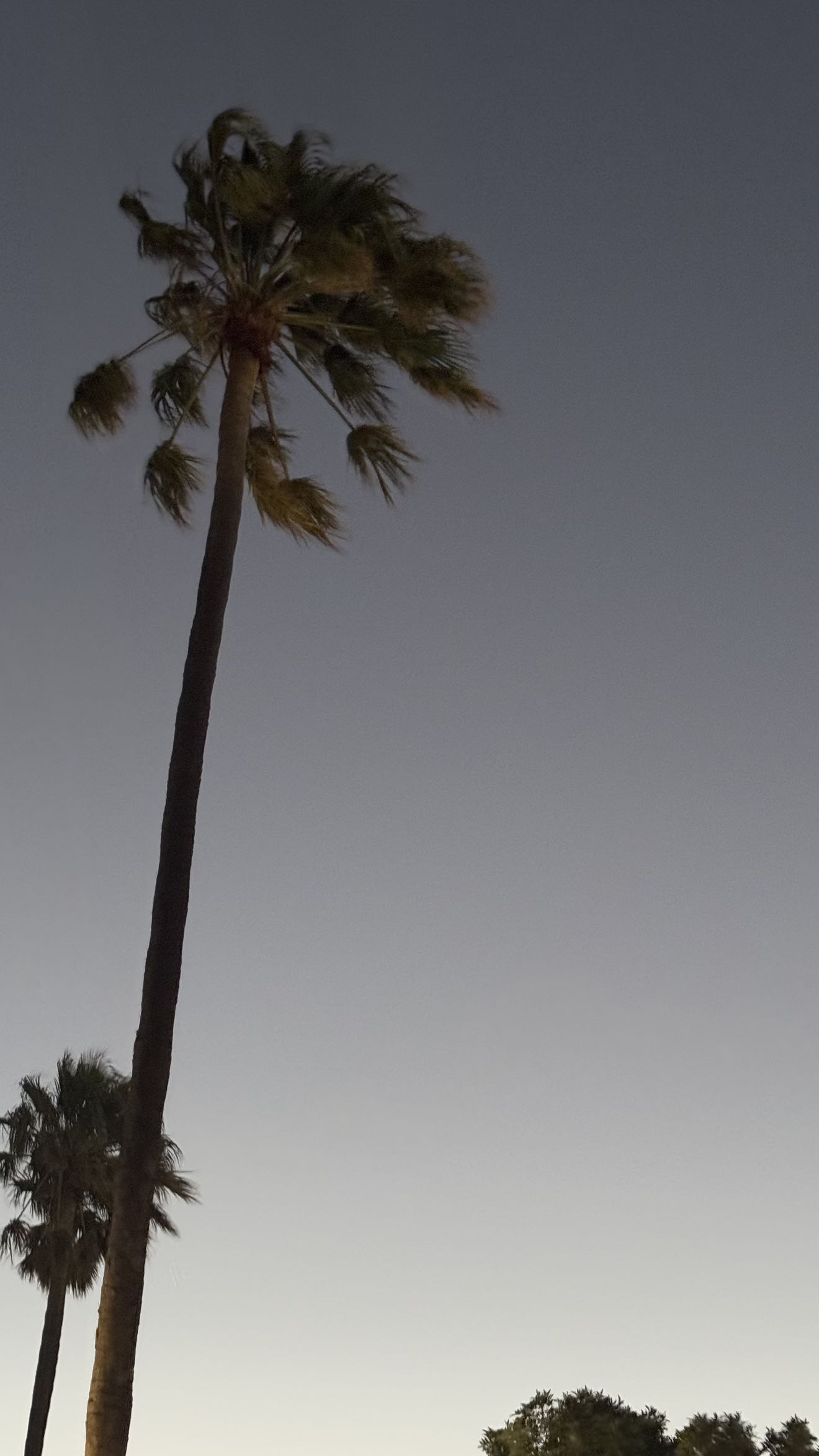 meelahrobbins snapchat image archive image