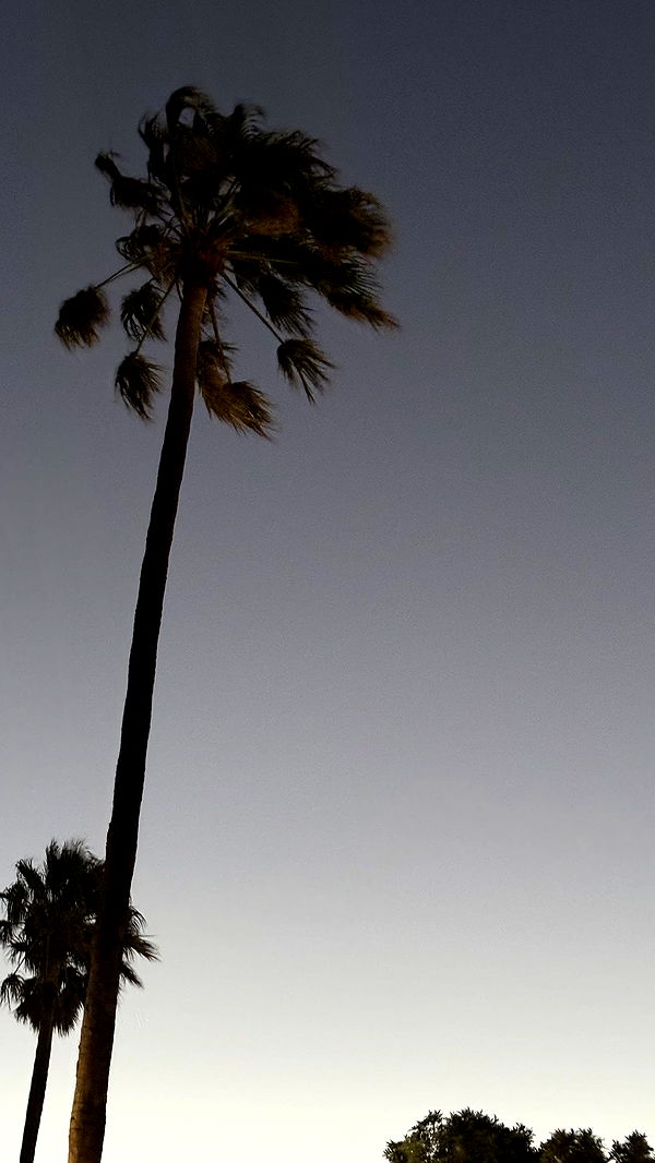 meelahrobbins image ~ Altpins