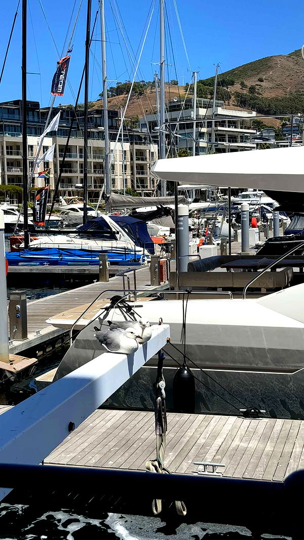 meelahrobbins image ~ Altpins