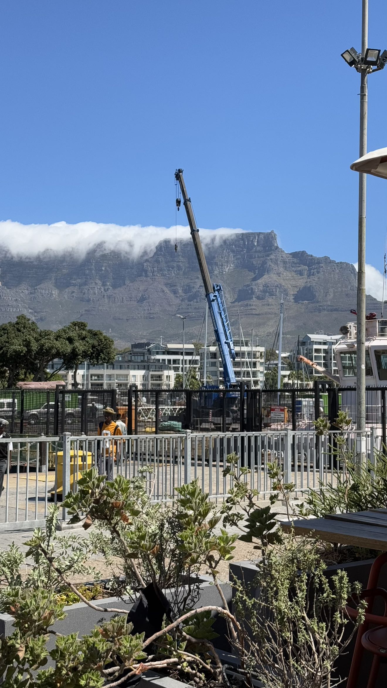 meelahrobbins snapchat image archive image