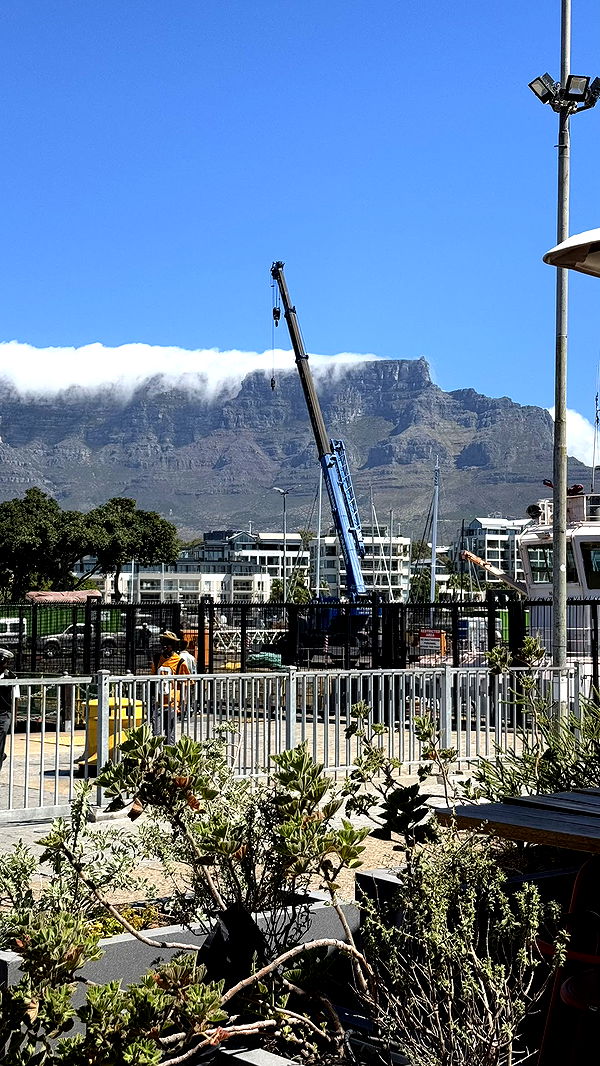 meelahrobbins image ~ Altpins