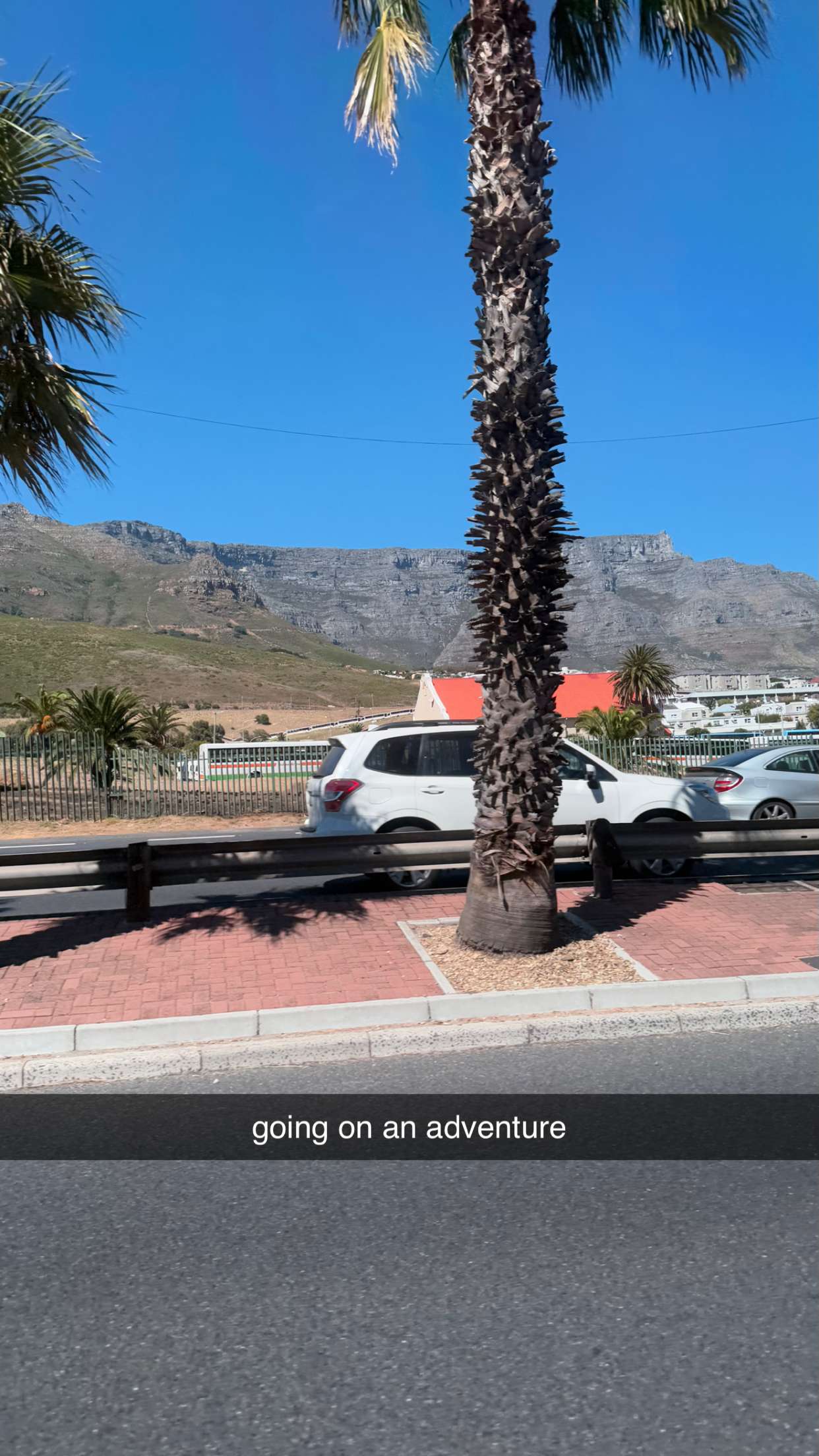 meelahrobbins snapchat image archive image