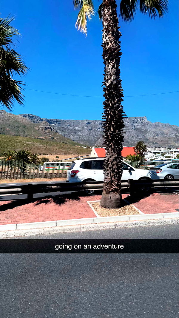 meelahrobbins image ~ Altpins