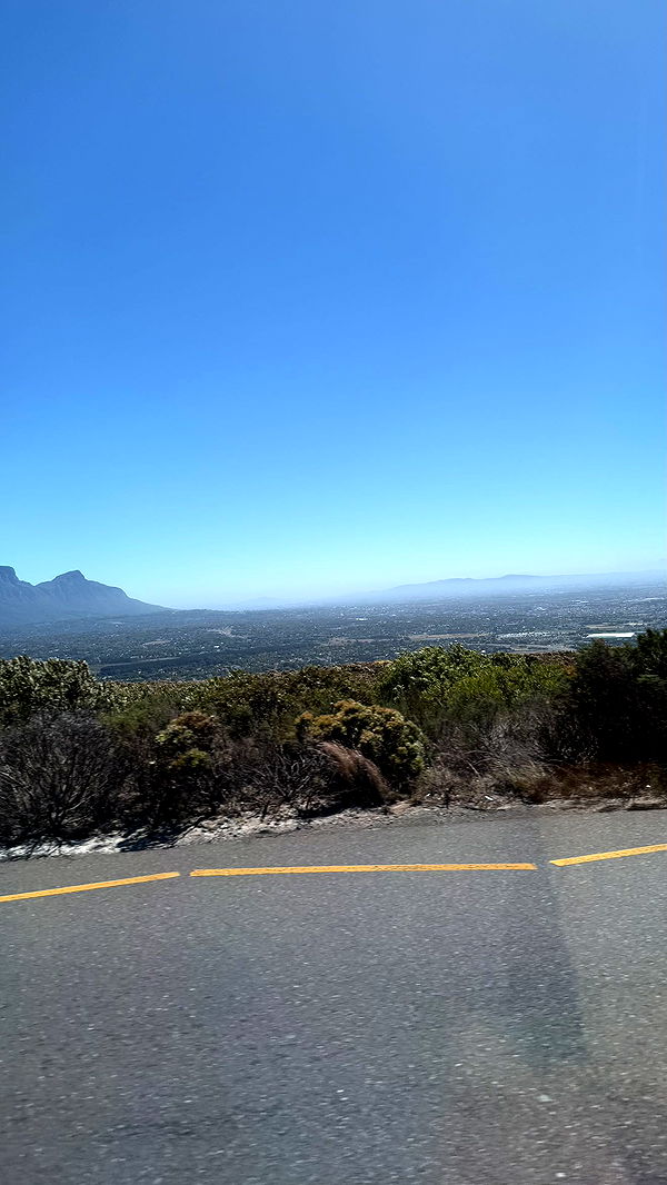 meelahrobbins image ~ Altpins