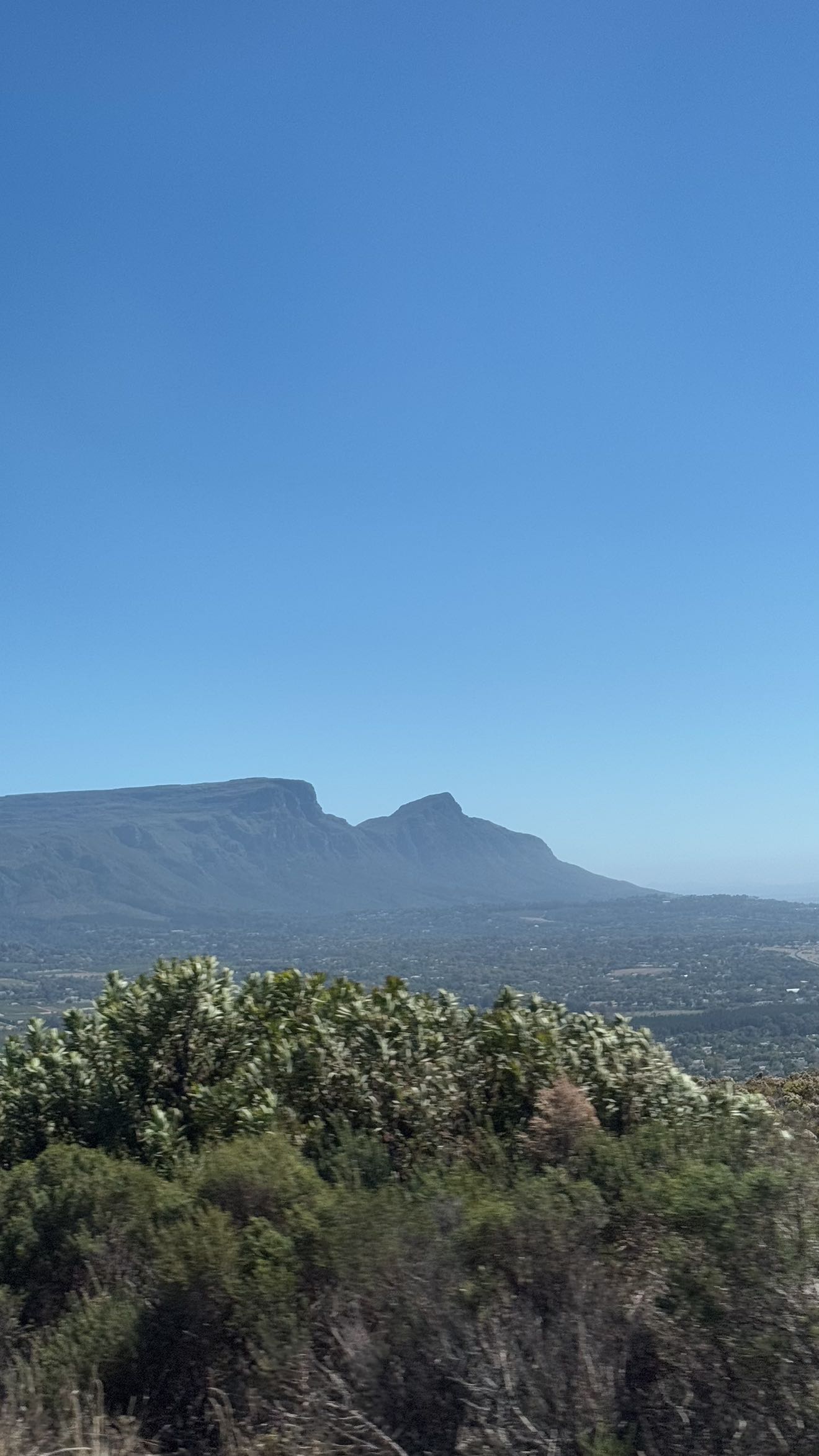 meelahrobbins snapchat image archive image