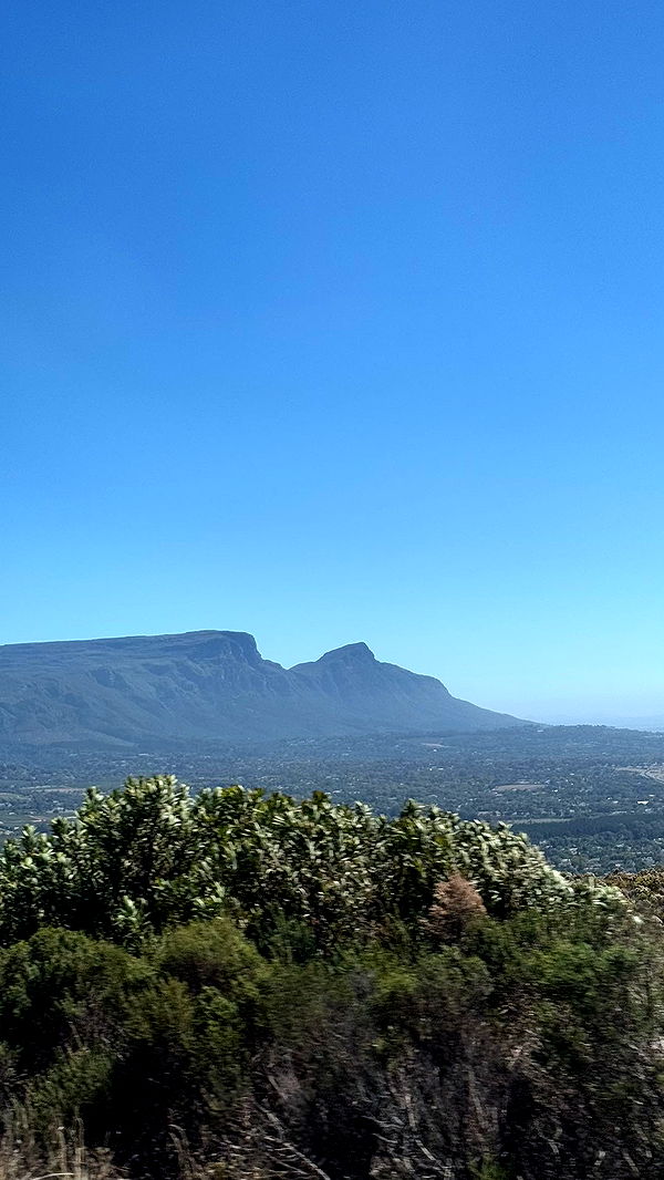 meelahrobbins image ~ Altpins