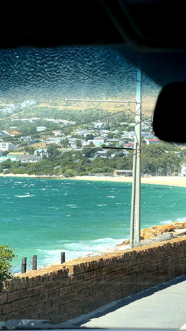 meelahrobbins image ~ Altpins