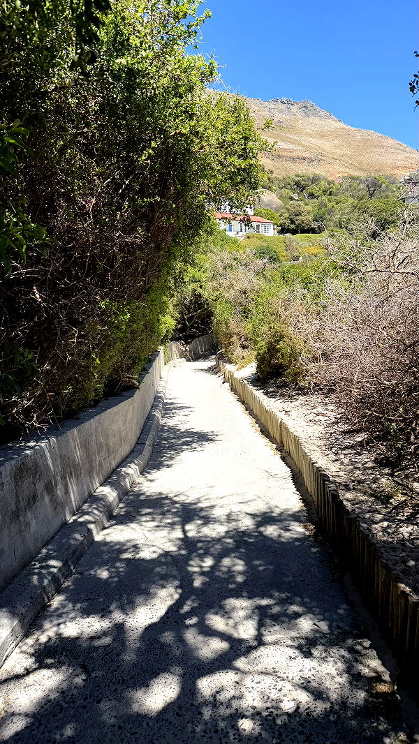 meelahrobbins image ~ Altpins