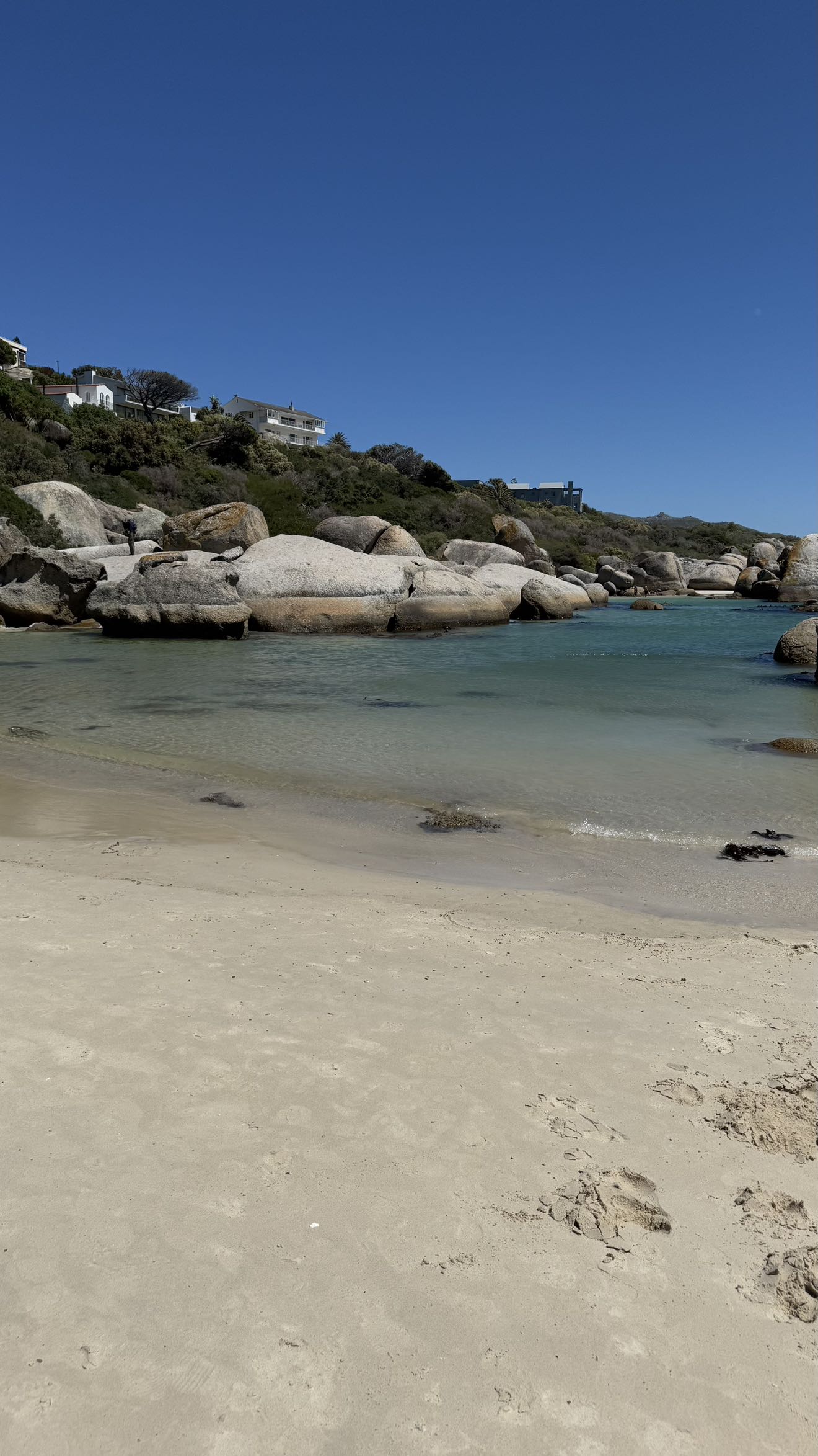 meelahrobbins snapchat image archive image