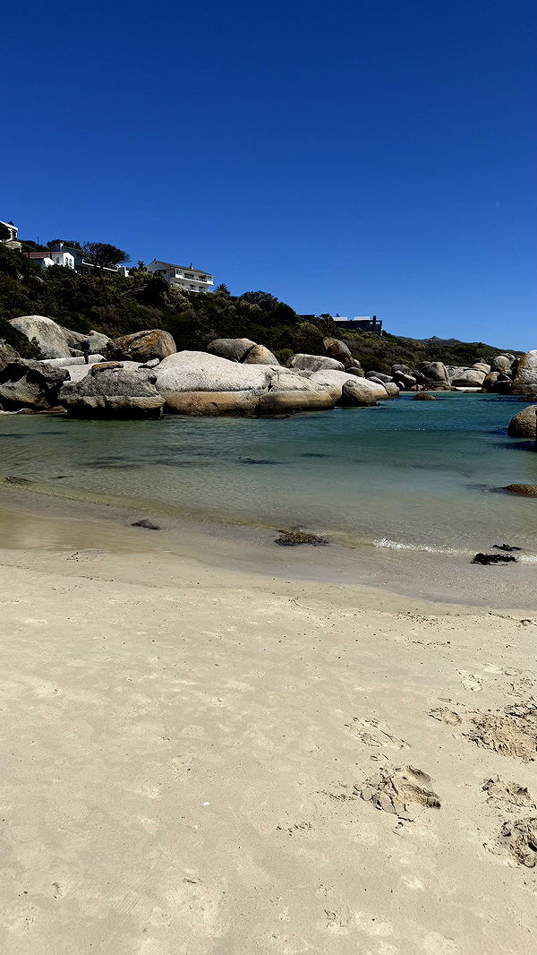 meelahrobbins image ~ Altpins