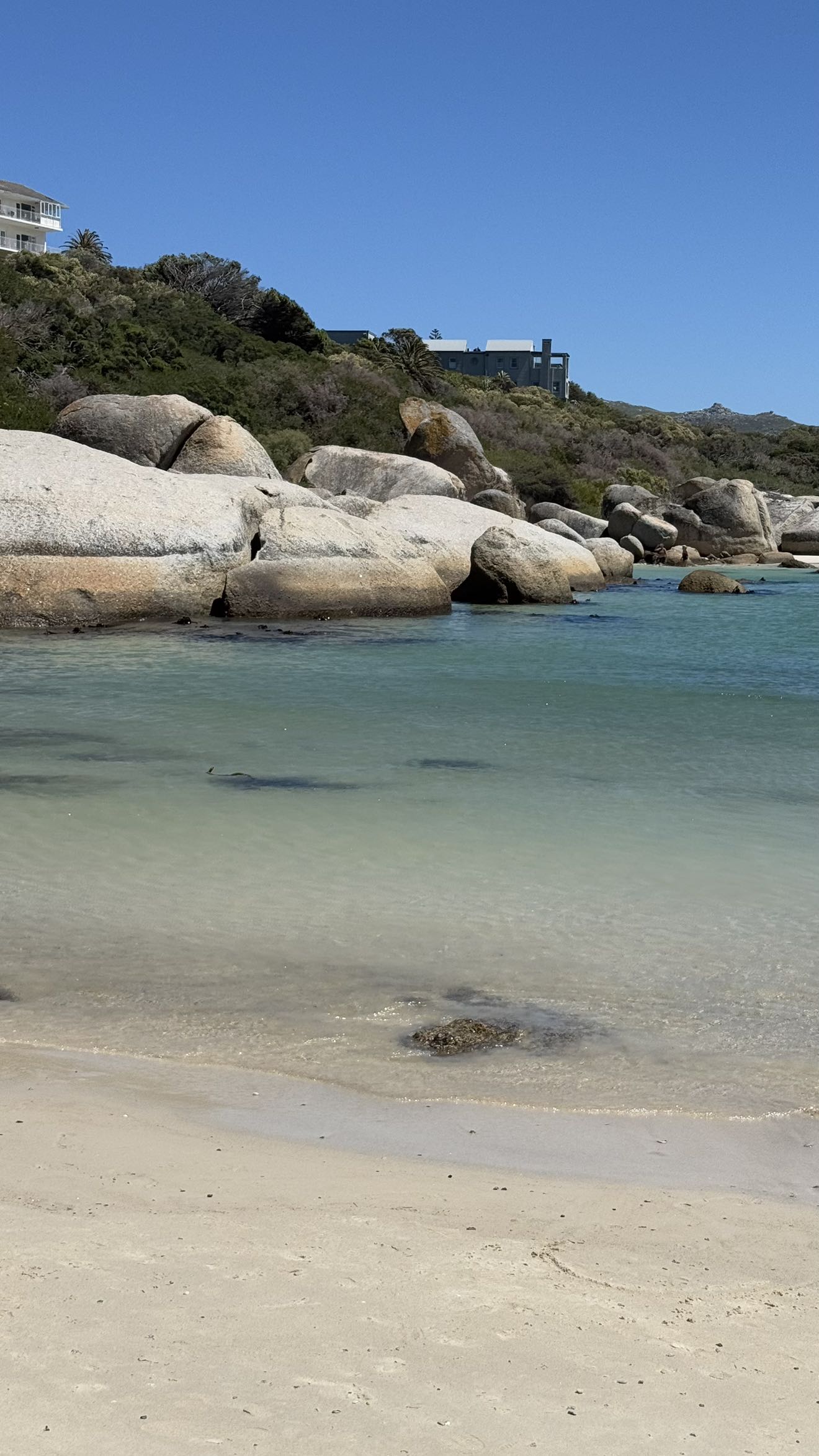 meelahrobbins snapchat image archive image