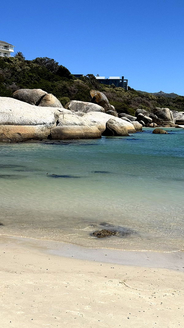 meelahrobbins image ~ Altpins