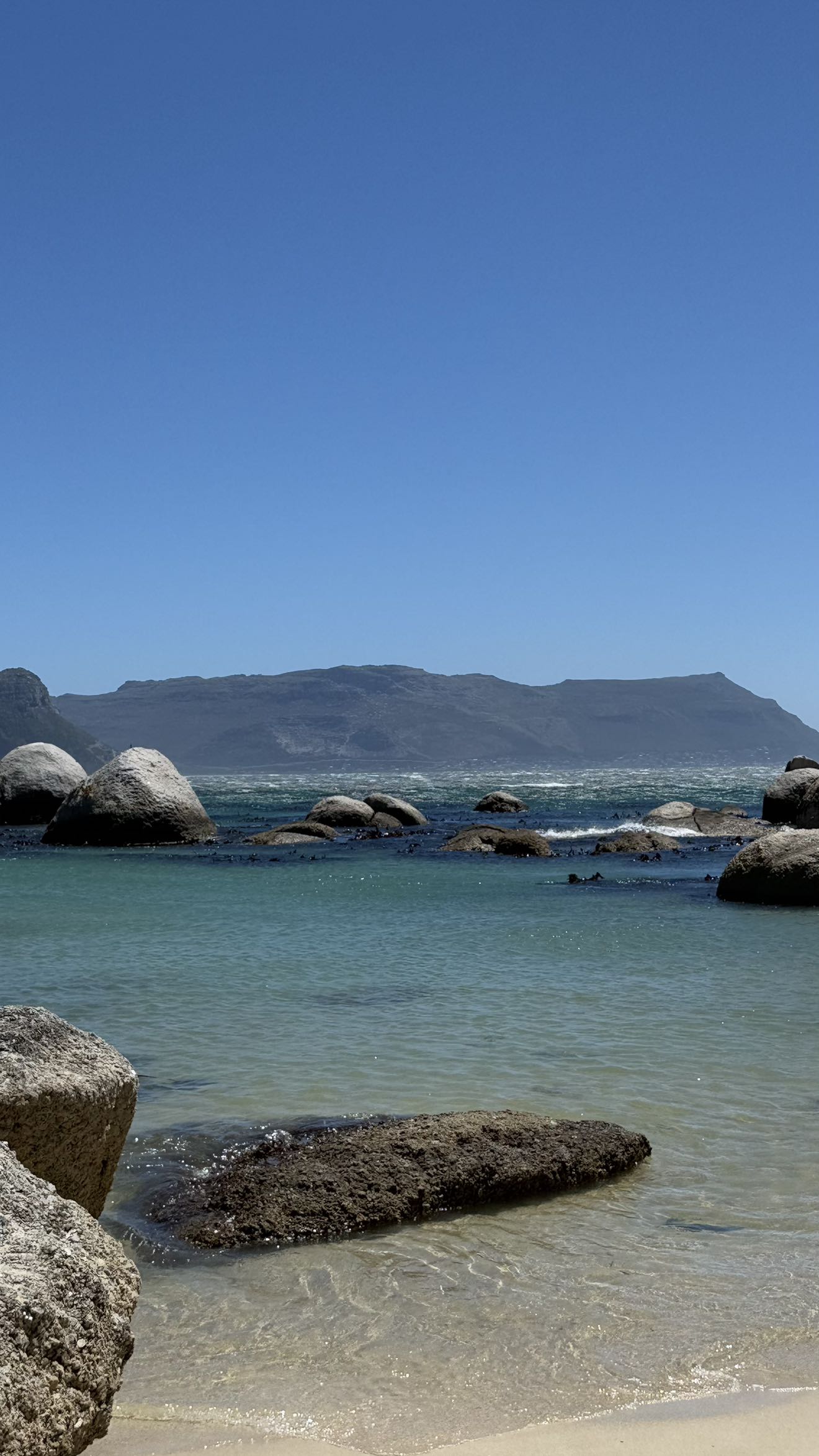 meelahrobbins snapchat image archive image