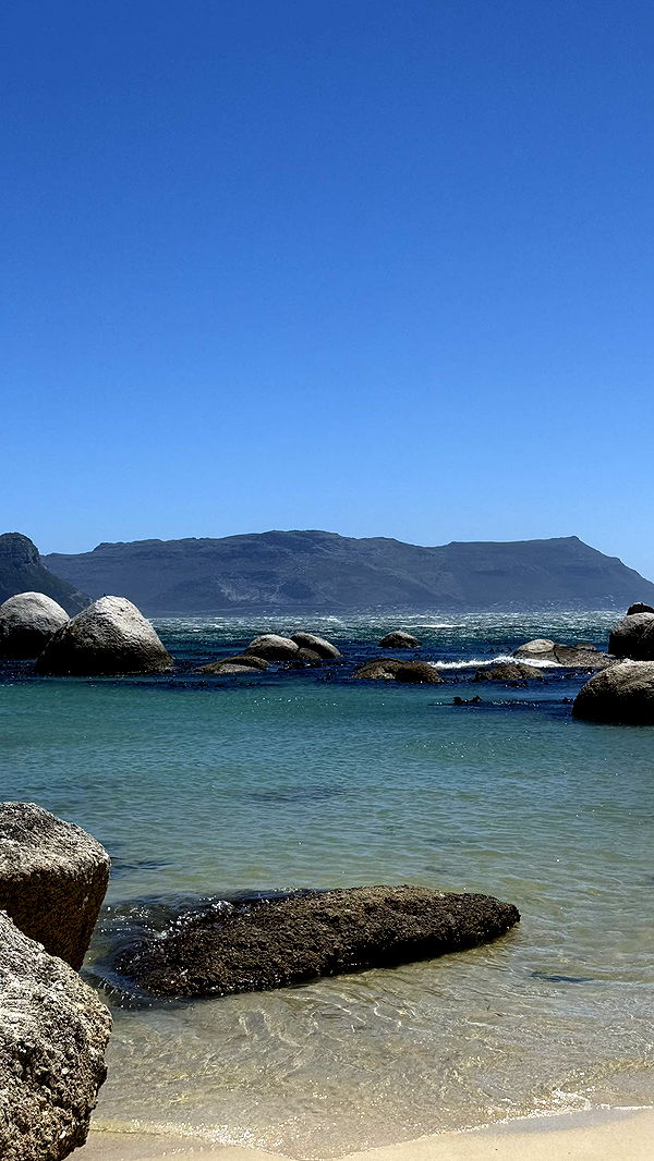 meelahrobbins image ~ Altpins