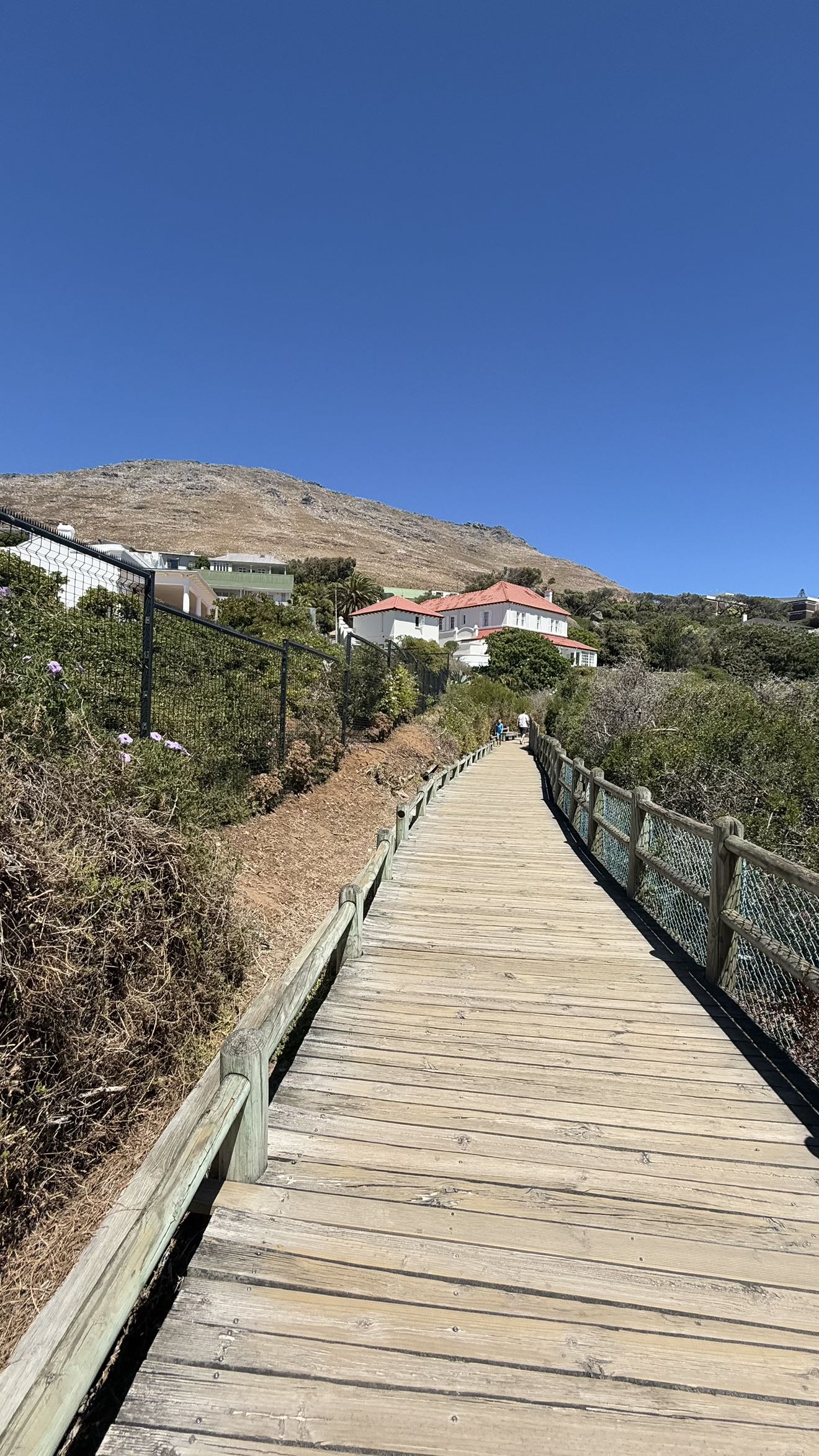 meelahrobbins snapchat image archive image