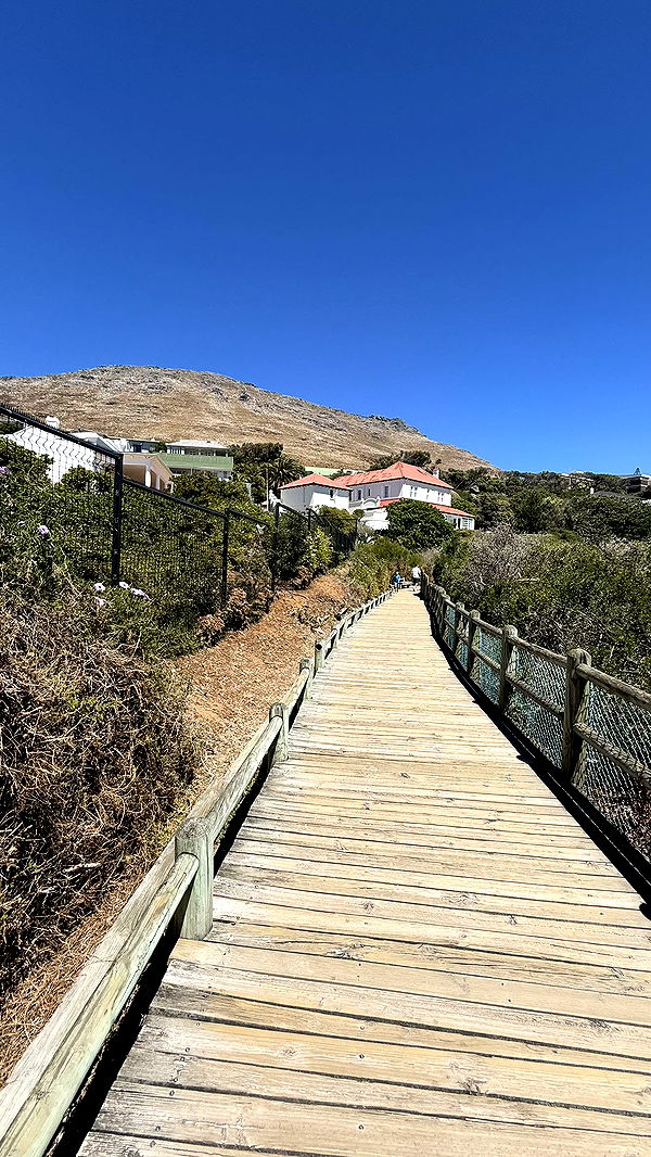 meelahrobbins image ~ Altpins