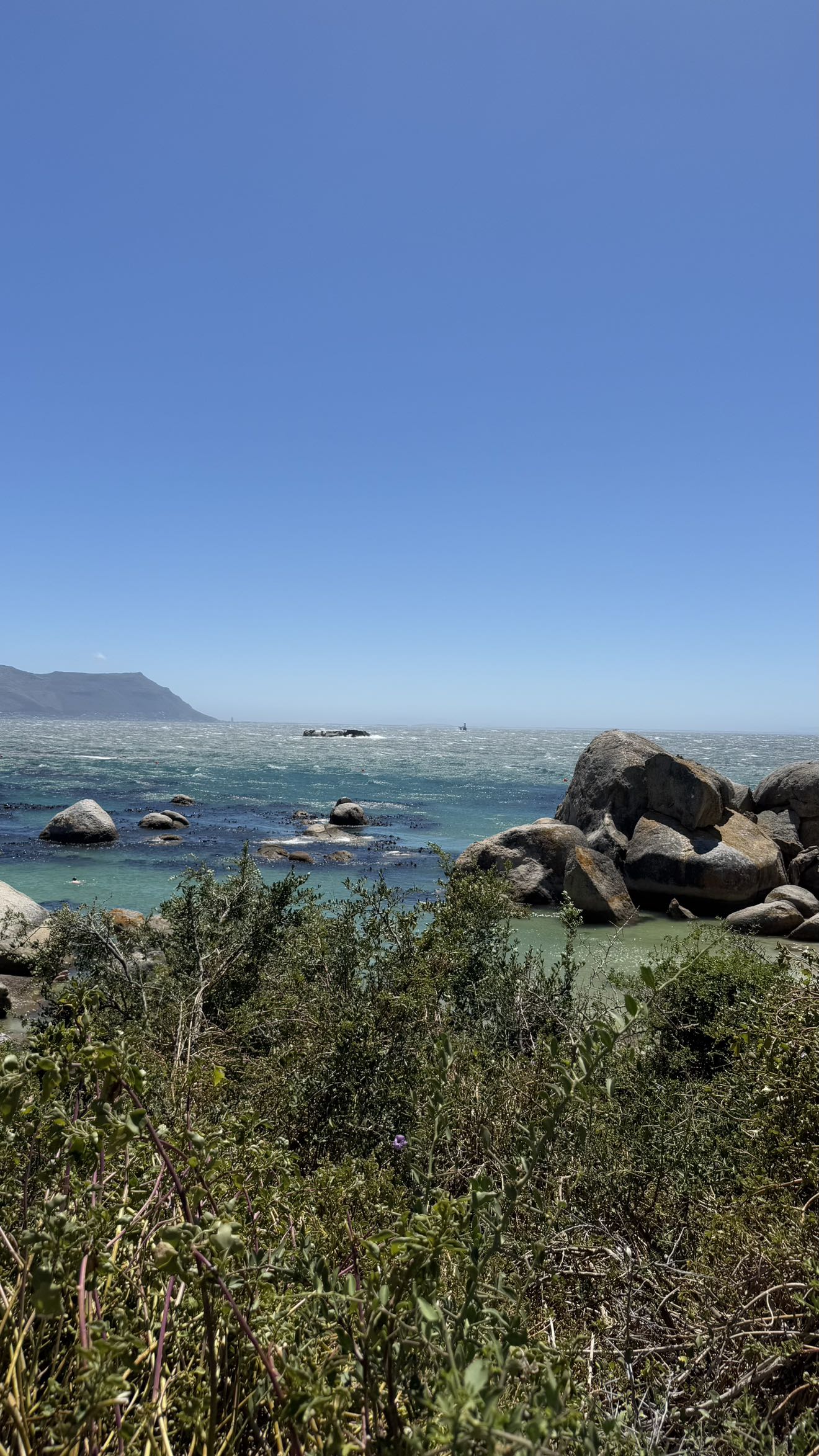 meelahrobbins snapchat image archive image