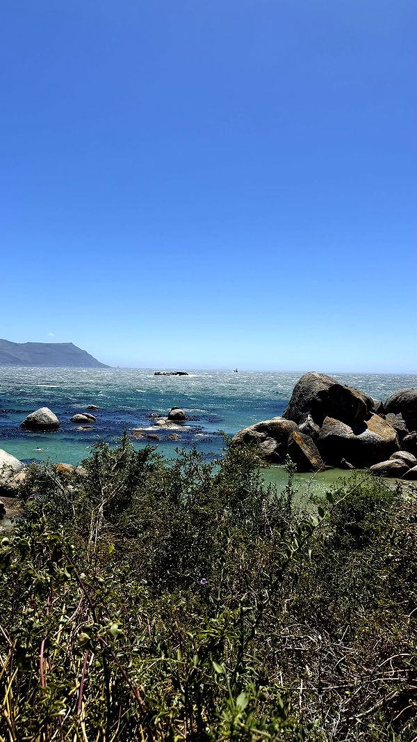 meelahrobbins image ~ Altpins