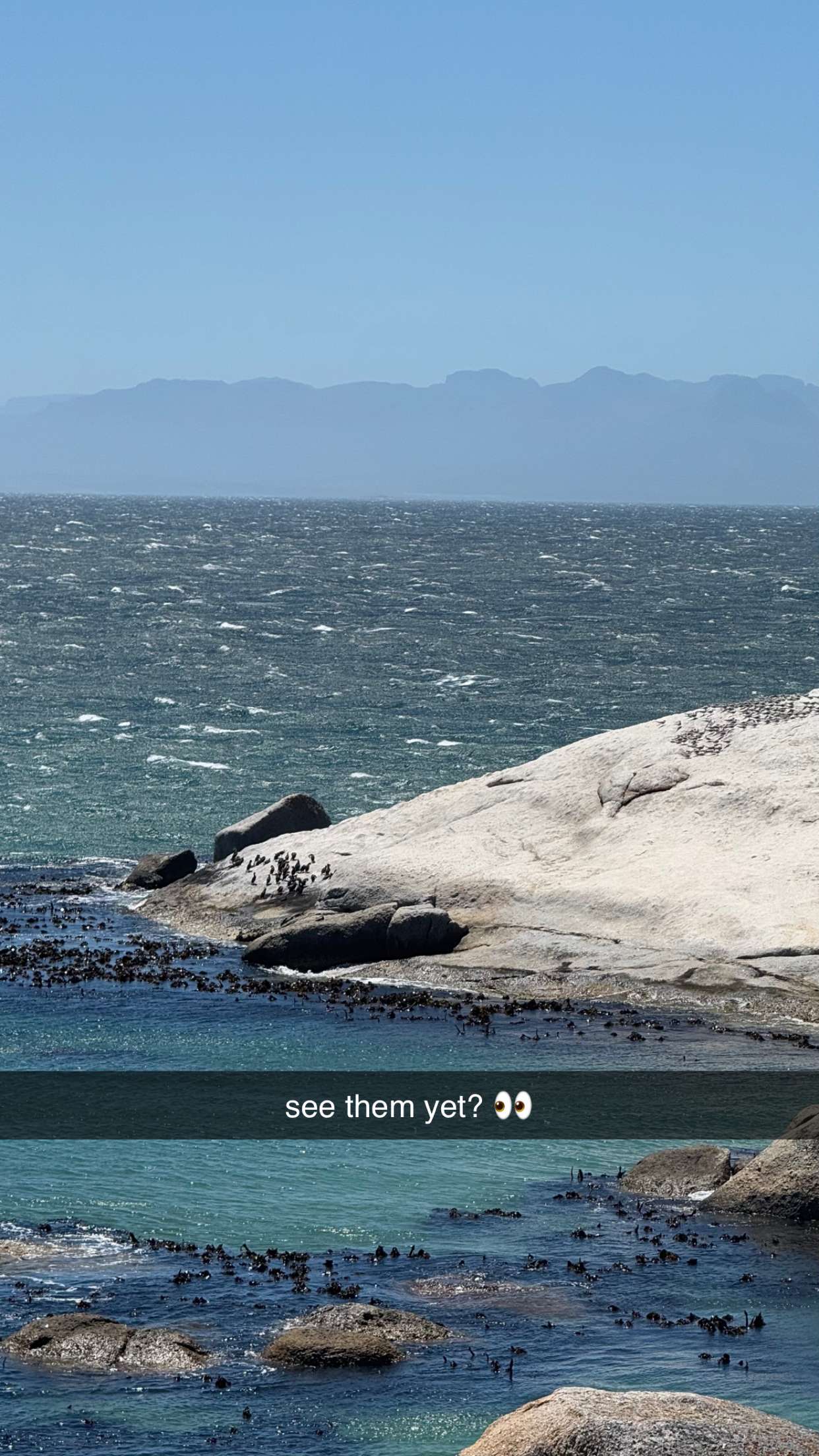 meelahrobbins snapchat image archive image