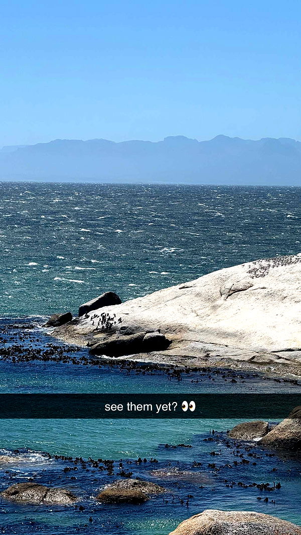 meelahrobbins image ~ Altpins