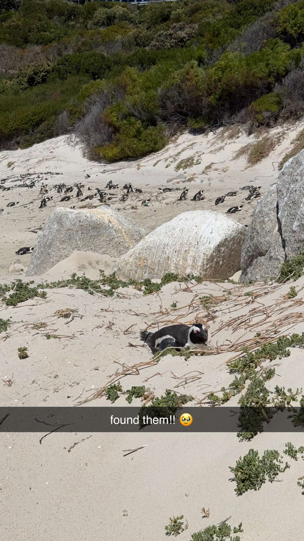 meelahrobbins snapchat image archive image