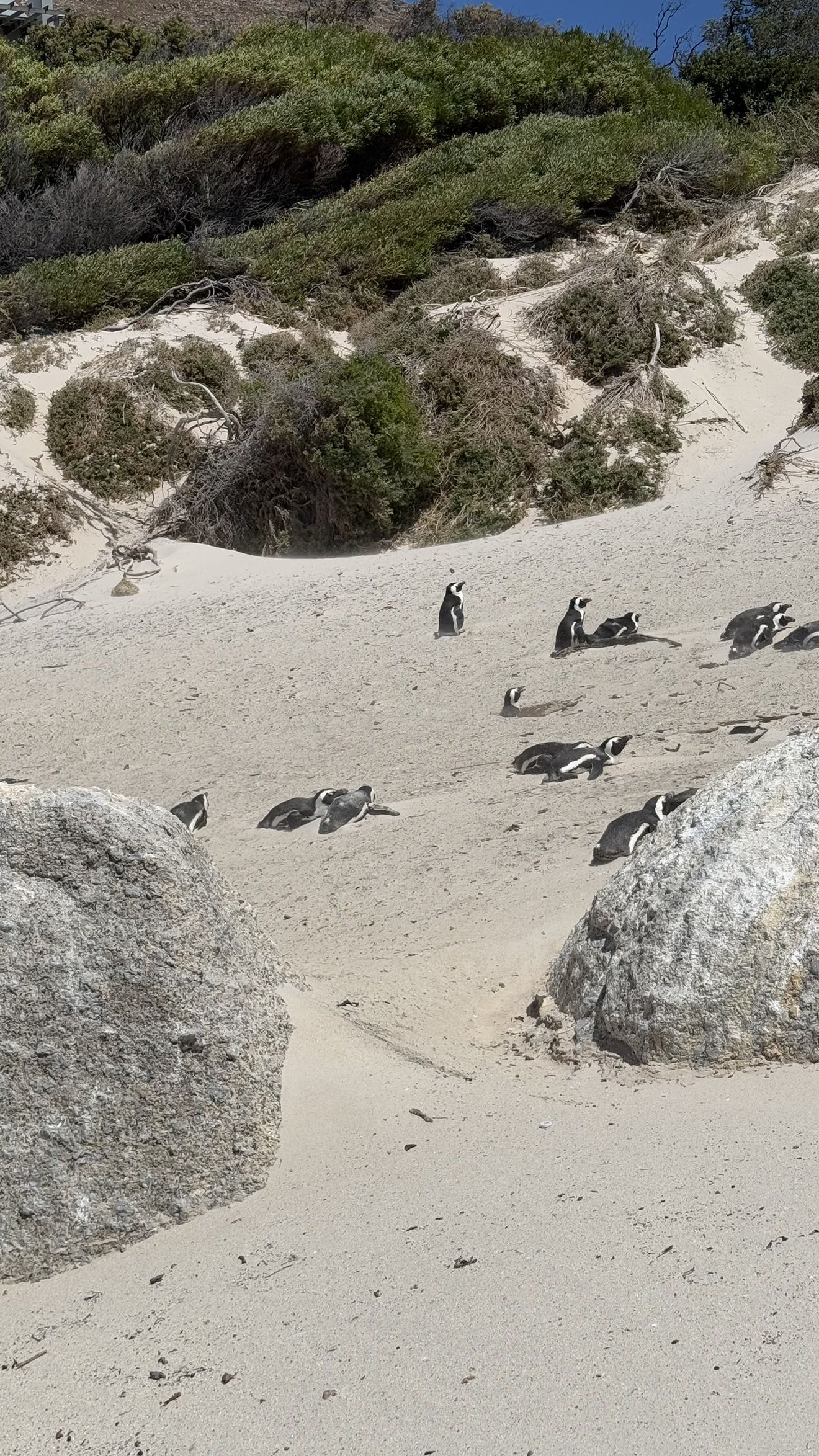 meelahrobbins snapchat image archive image