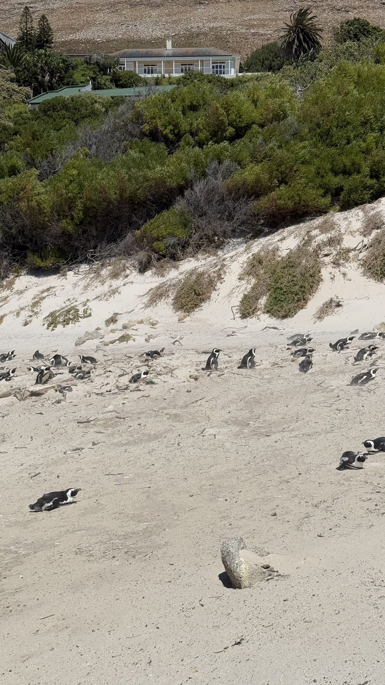 meelahrobbins snapchat image archive image