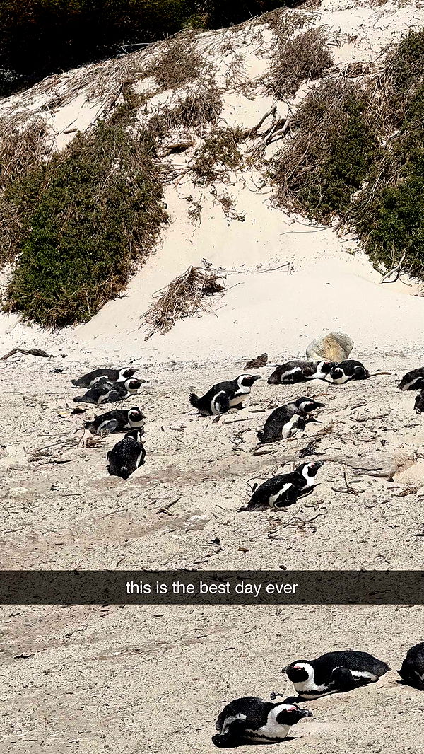 meelahrobbins image ~ Altpins