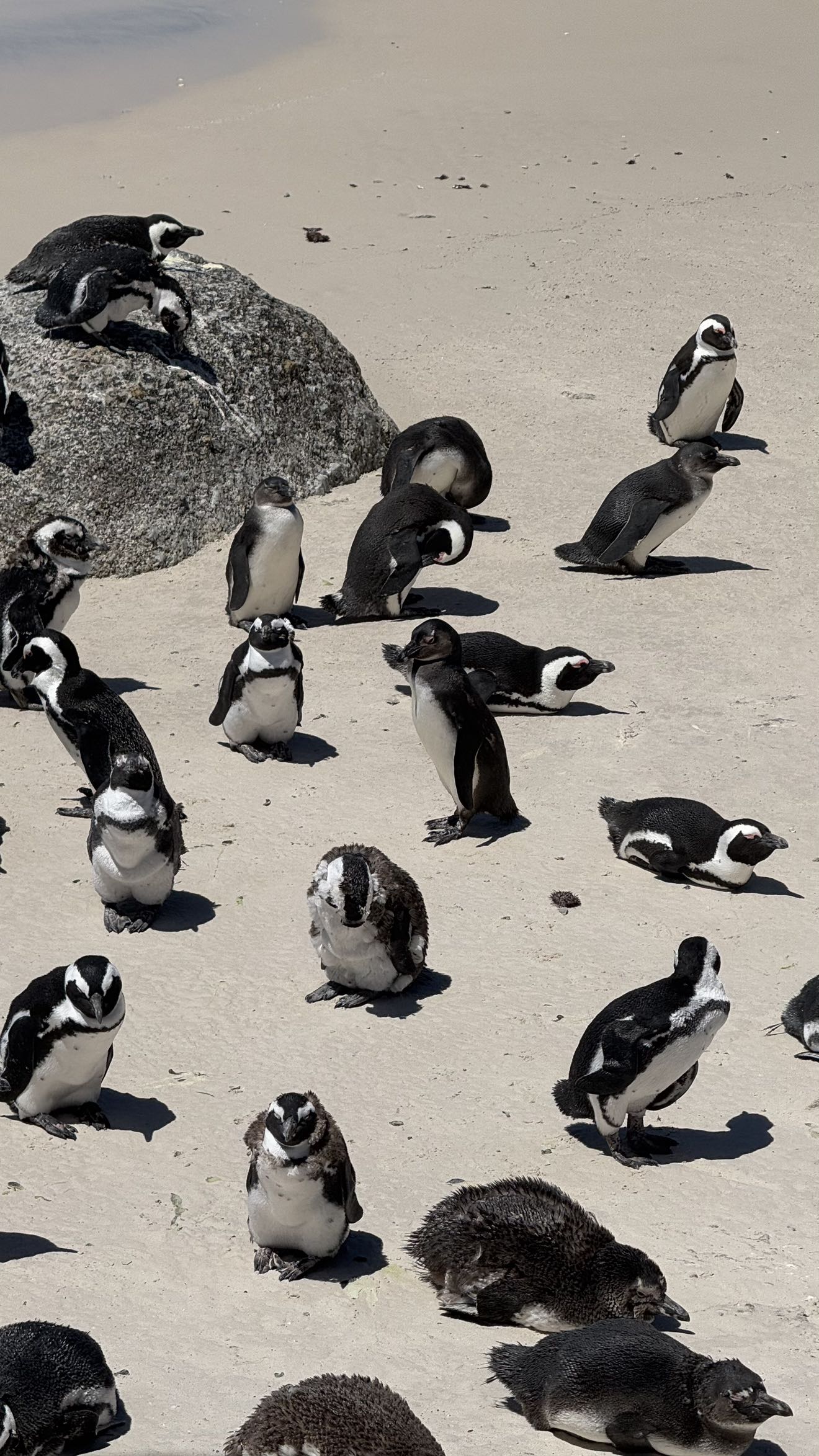 meelahrobbins snapchat image archive image