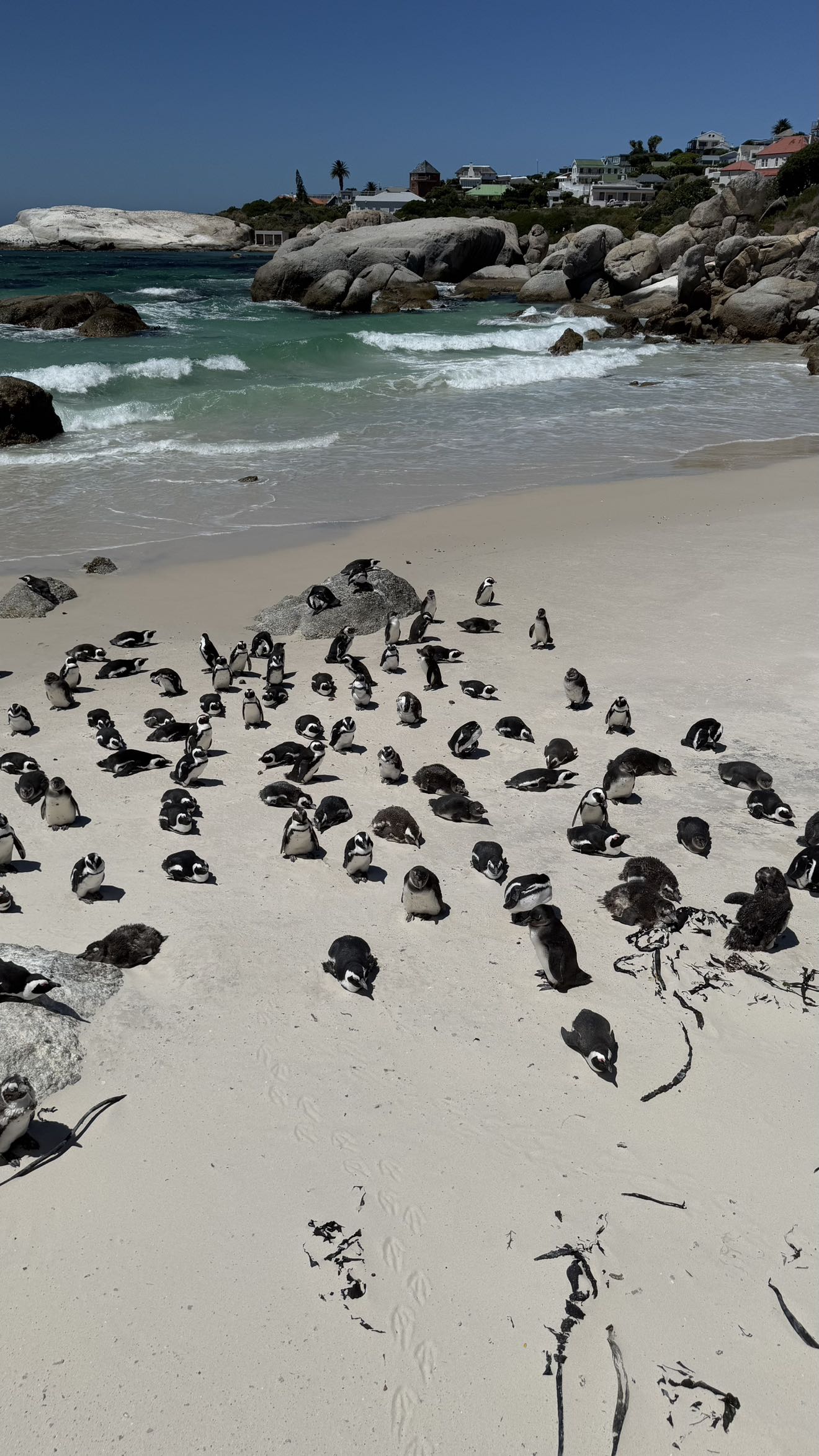 meelahrobbins snapchat image archive image