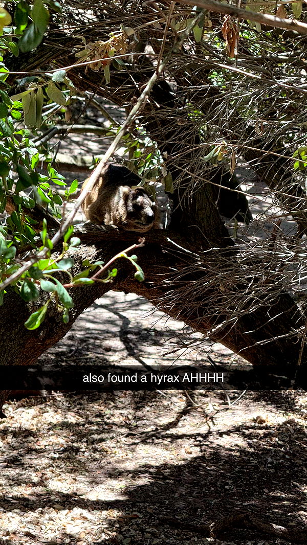 meelahrobbins image ~ Altpins