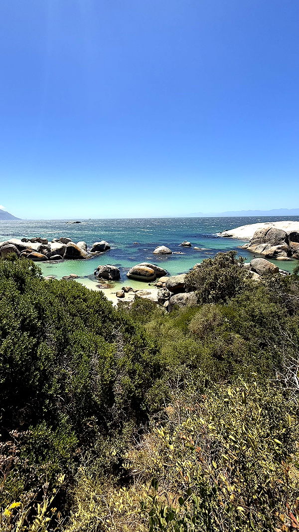 meelahrobbins image ~ Altpins