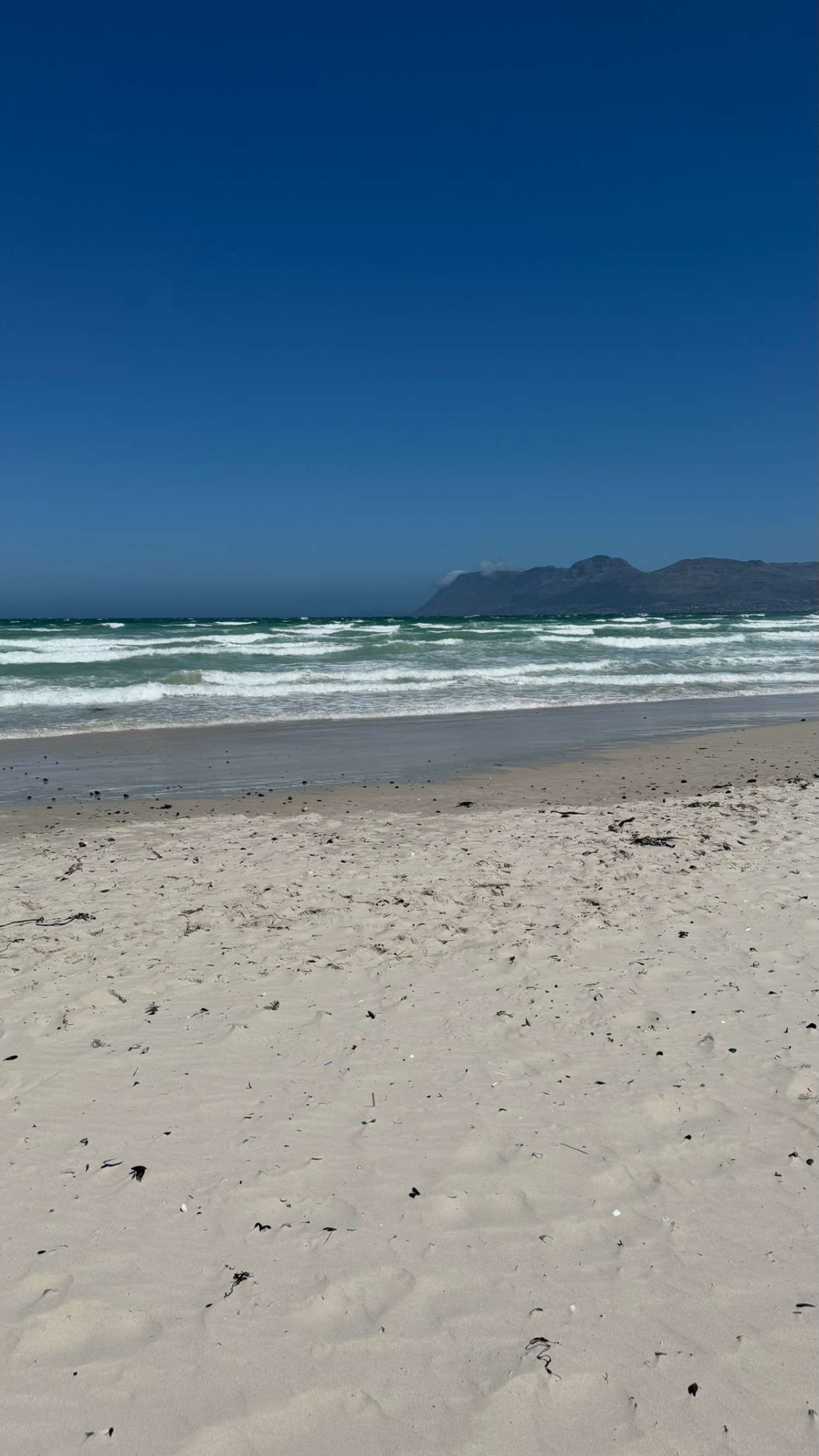 meelahrobbins snapchat image archive image