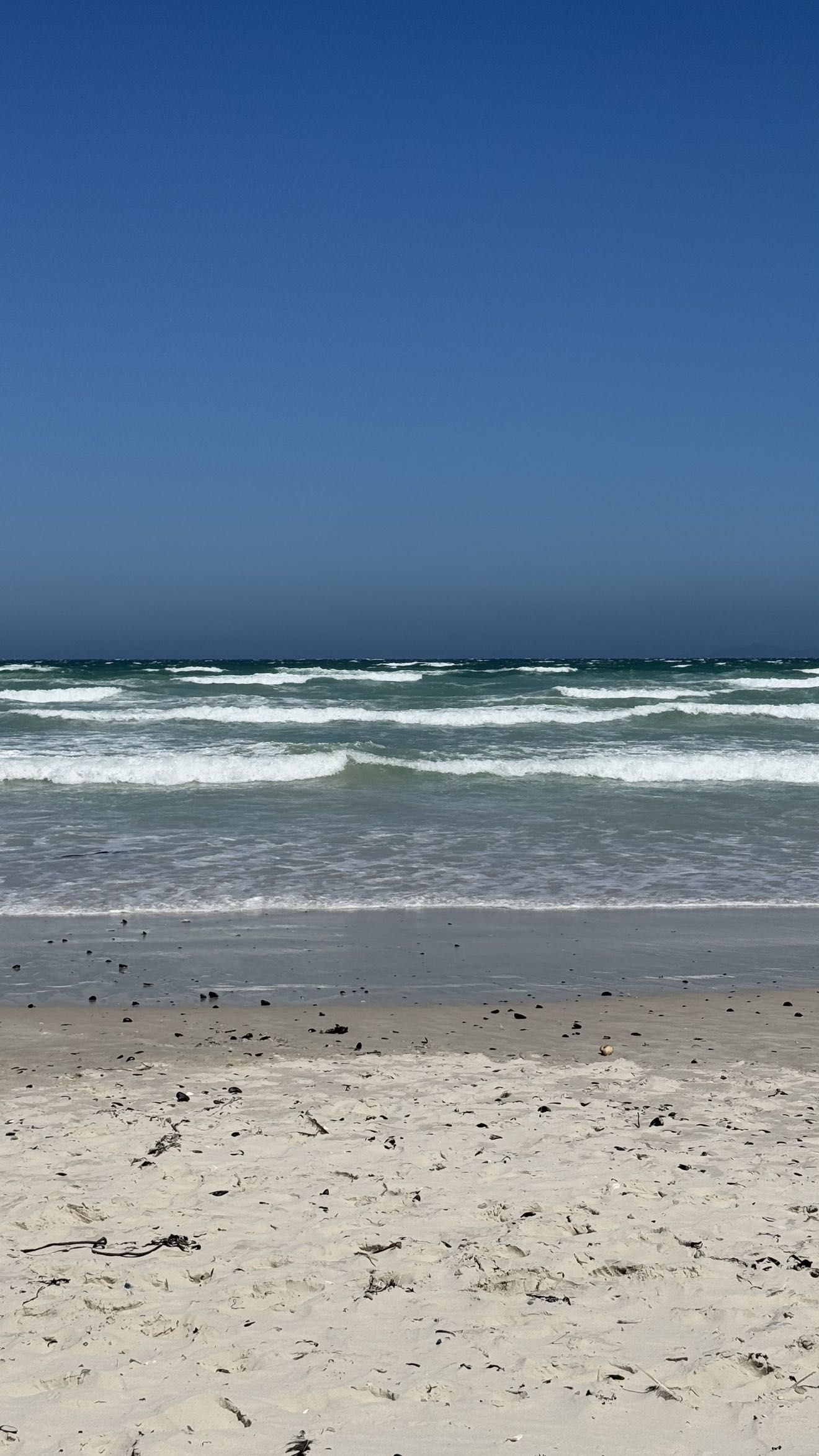 meelahrobbins snapchat image archive image