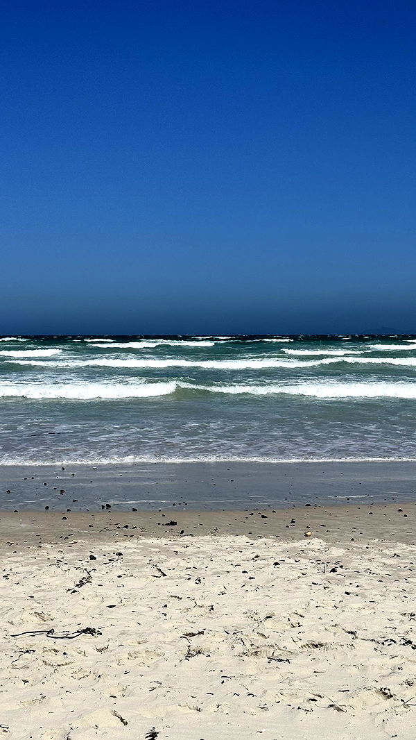 meelahrobbins image ~ Altpins