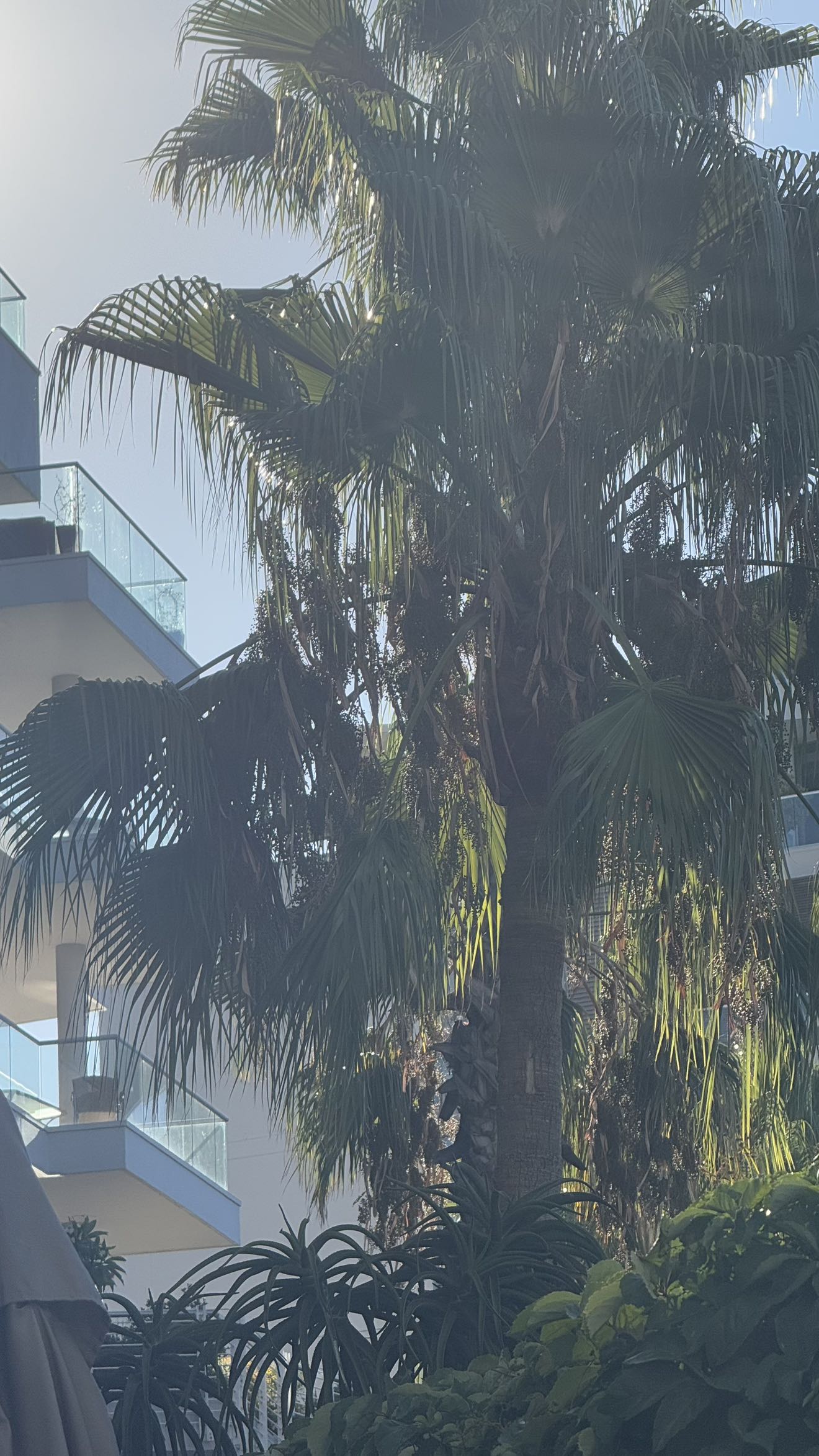 meelahrobbins snapchat image archive image