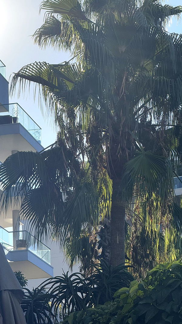 meelahrobbins image ~ Altpins