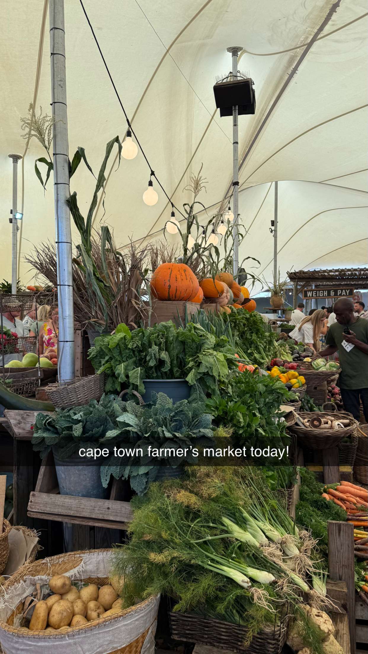 meelahrobbins snapchat image archive image