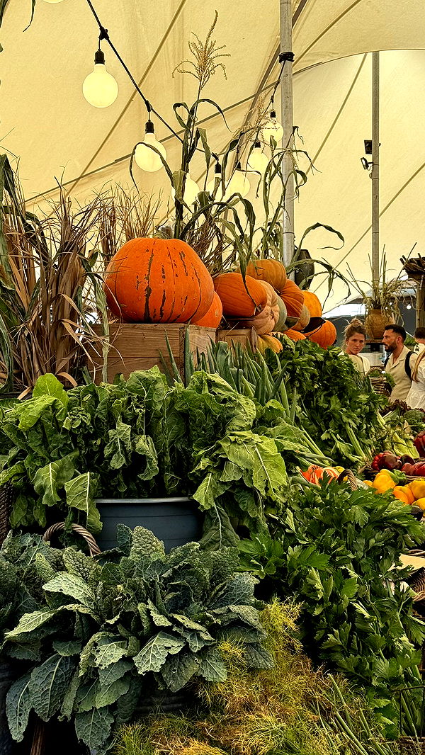 meelahrobbins image ~ Altpins