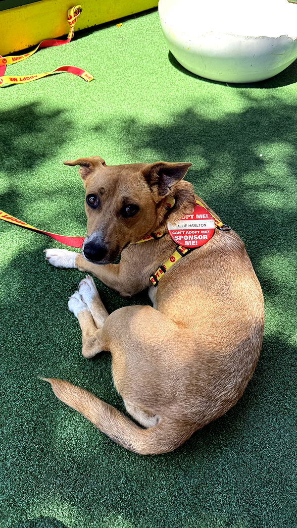 meelahrobbins image ~ Altpins