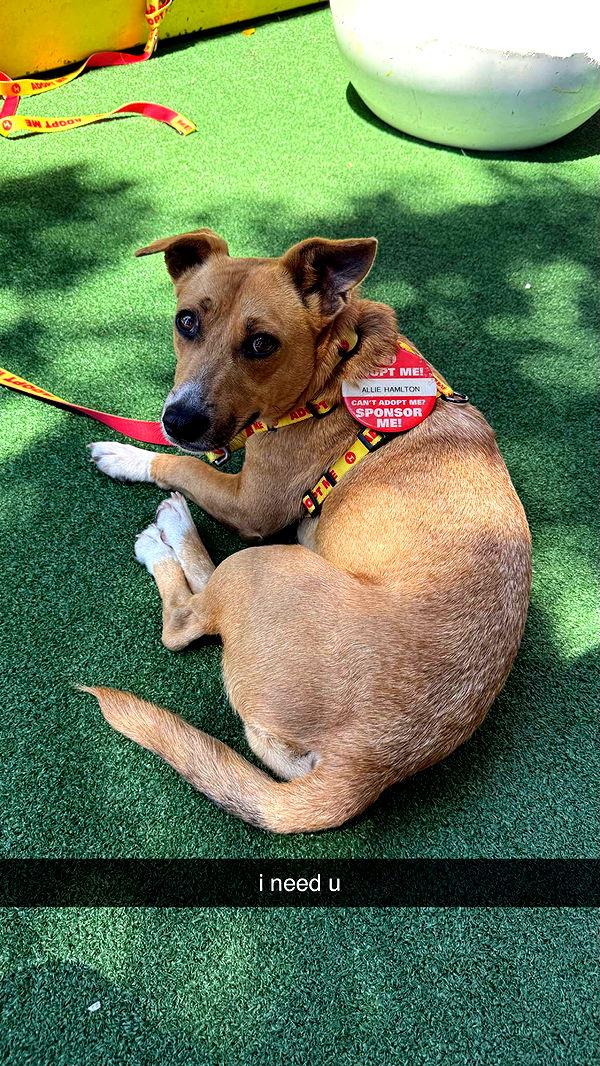 meelahrobbins image ~ Altpins