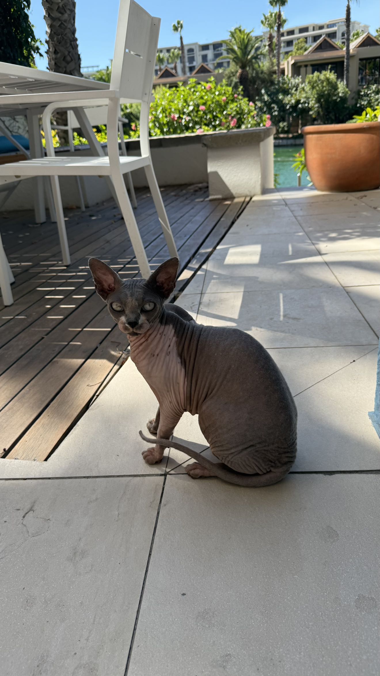 meelahrobbins snapchat image archive image