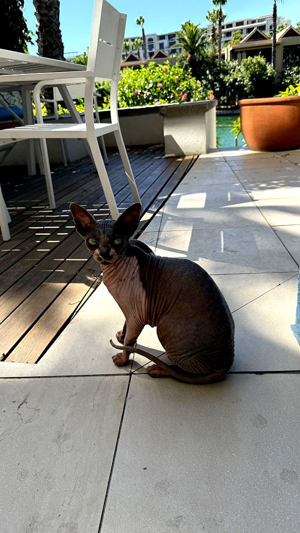 meelahrobbins image ~ Altpins