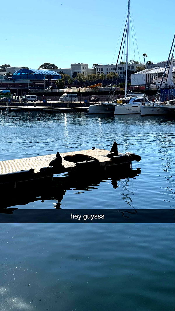 meelahrobbins image ~ Altpins