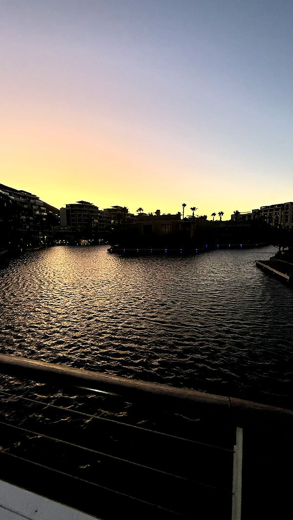 meelahrobbins image ~ Altpins