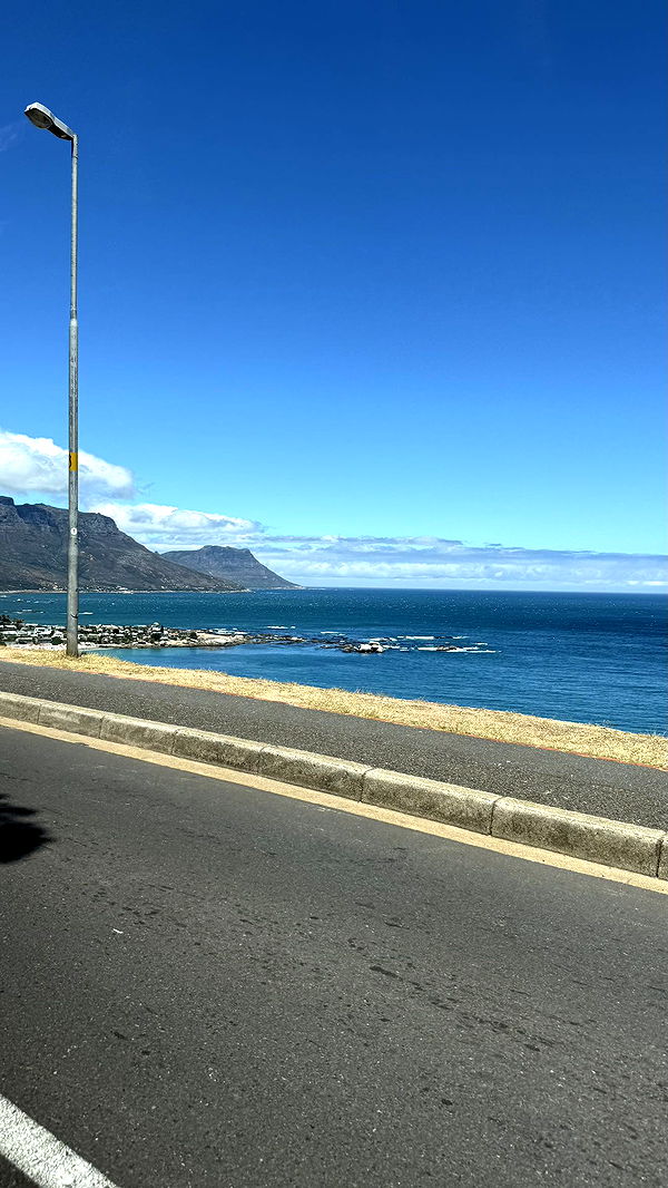 meelahrobbins image ~ Altpins